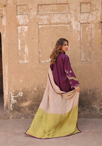 DINA DUPATTA